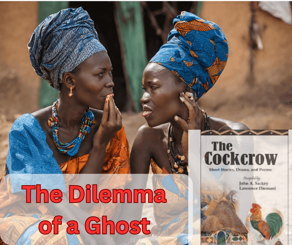 The Dilemma Of A Ghost Summary And Analysis George Antwis Blog